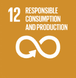 Responsible Production and Consumption