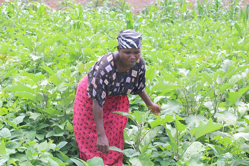 FXB Burundi agriculture