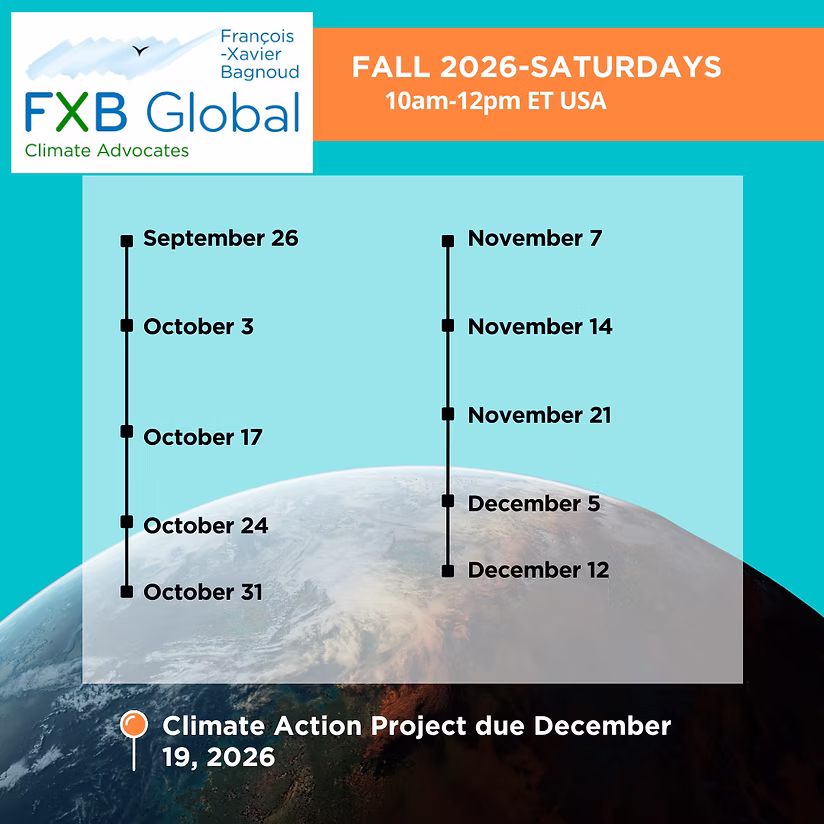 Fall Cohort in progress: