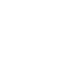 The Light Foundation