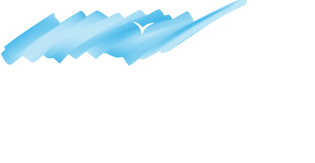 FXB Global